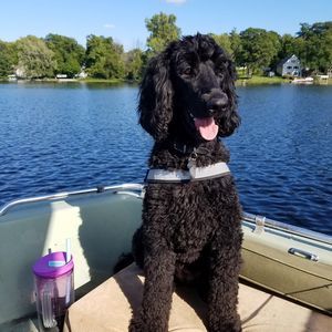 Meet your Posher, Donah